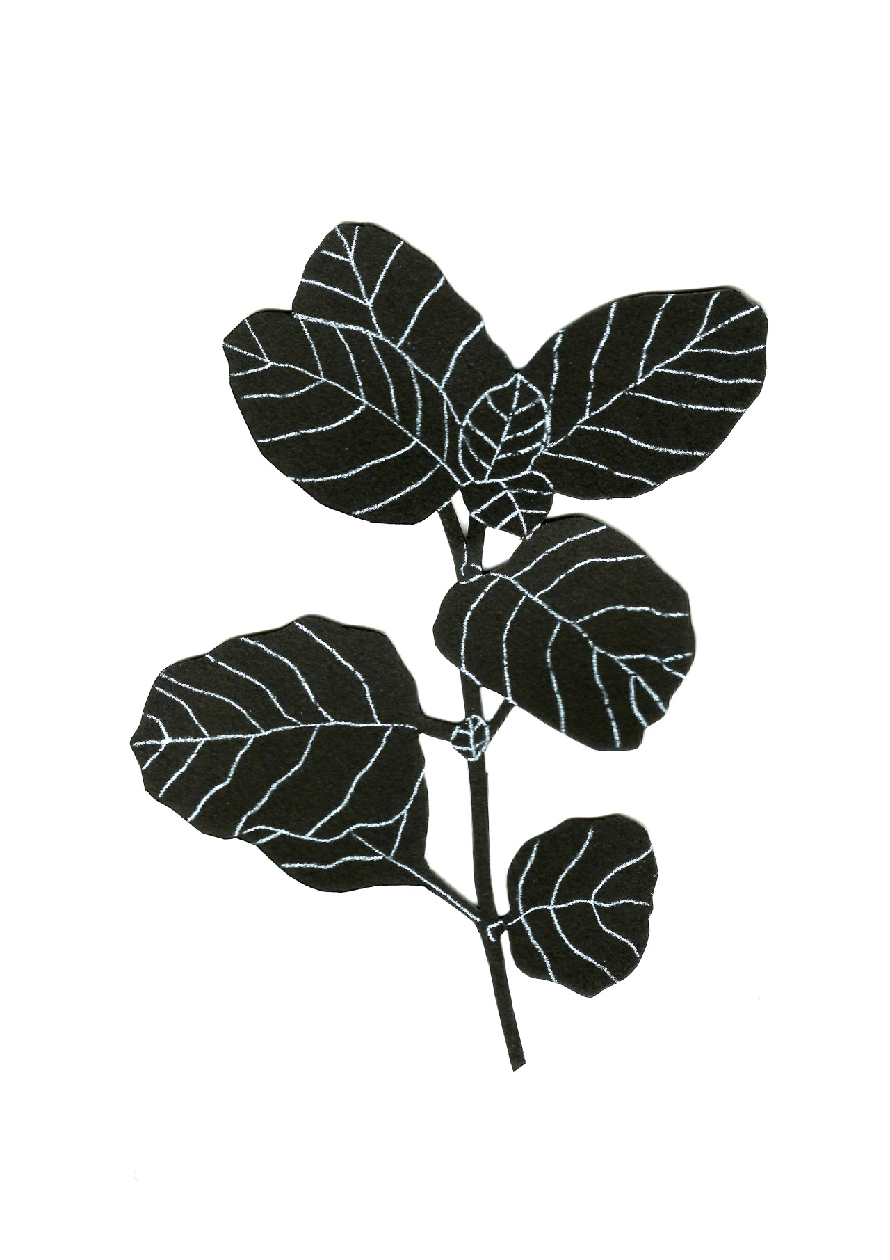 lemaddyart: “Small”Maddy Young, 2015 