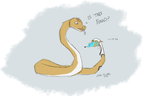 thelazypetowner:I got bored and drew a snake last night. It started out as a ball python, but then i