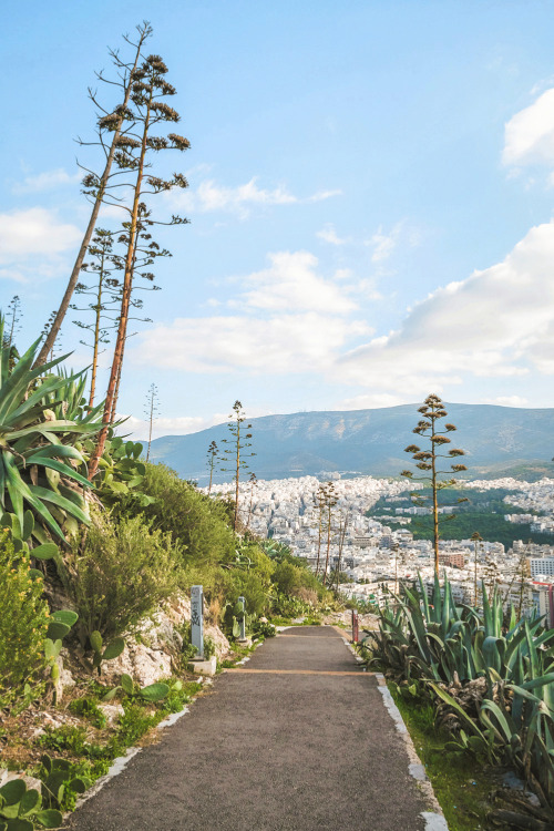 Exploring the Mount Lycabettus, Athens, Greece- More Athens &amp; Greece here