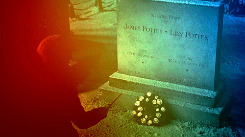 kg1507:  Top 200 Harry Potter and the Deathly Hallows Caps - 028 