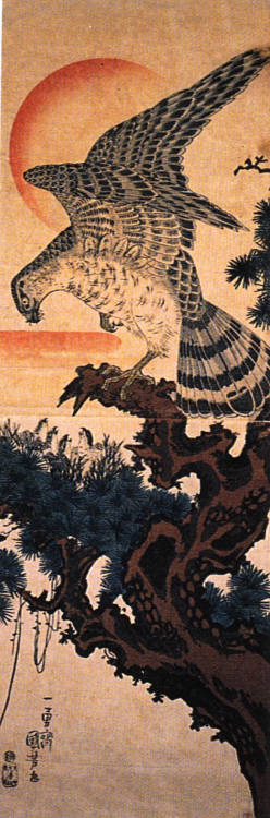 Hawk, Kuniyoshi (1798-1861)