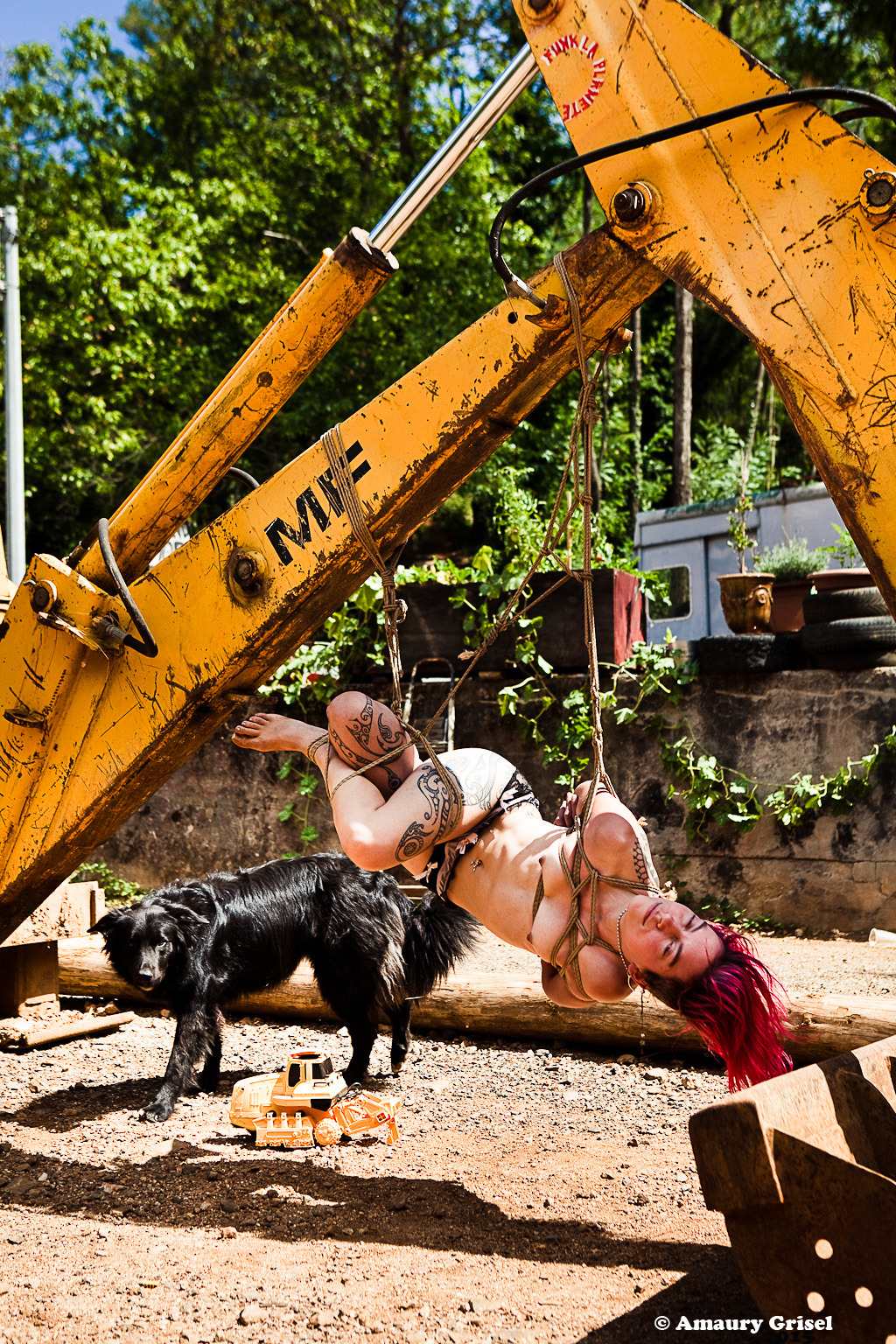 amaury-grisel-shibari:  beware the dog ! Modele : Labella  Shibari &amp; Photography