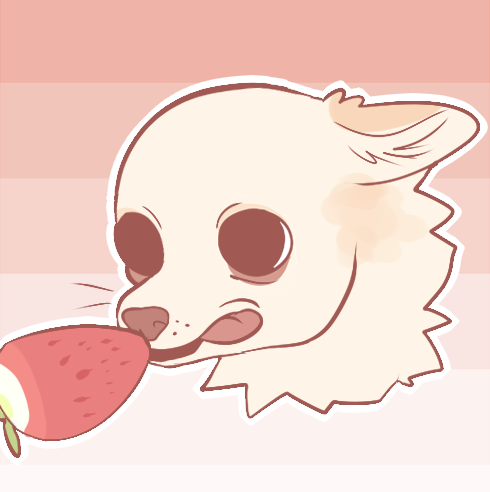 boymilk: anyways heres my contribution to the strawberry chihuahua