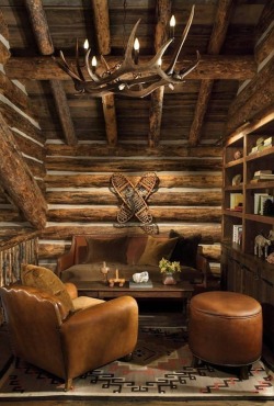 Log Home Love