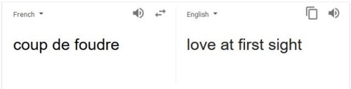 darkphoenixsaga: randomfandomteacher:   indigopersei:  broitsablog:  wildeisms:   @indigopersei is the french language just always on the verge of getting someone accused of assault or..?  my friend,if only you knew   It’s a very dangerous language