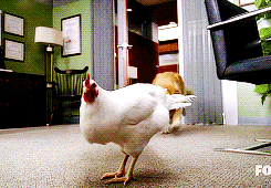  Masters: Can someone please explain to me what House and Wilson are doing with those