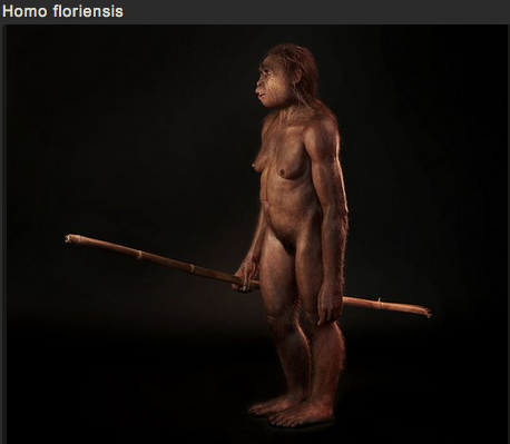 sixpenceee:  SCULPTING HUMAN EVOLUTION  Paleoartist Elisabeth Daynès is reconstructing human evolution through her sculptures. The sculptures above are in no particular order.  You can view more pictures and get more information here