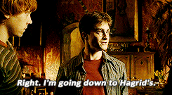sunshineandrainbows-yer:  high harry was great 