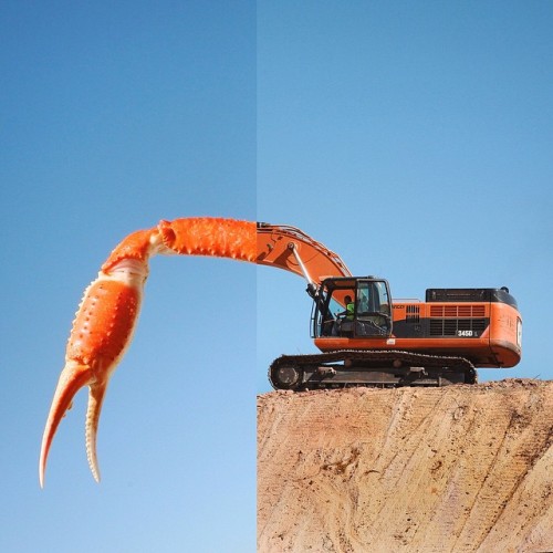 awesome-picz:    Photographer Mashes Photos Together For Hilarious Results.