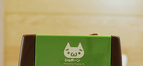 ryeou:  顔文字 ぬこ トースト ☆ kaomoji cat toast 