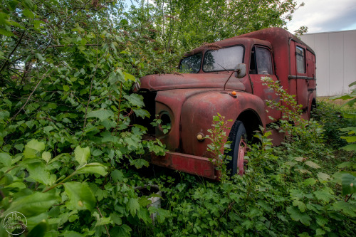 ANTIQUES ROADSHOWIn the backyard of a garage I came across this collection of discarded cars and bus