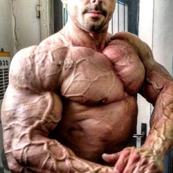 bodybodyman:  Mattia Vecchi 