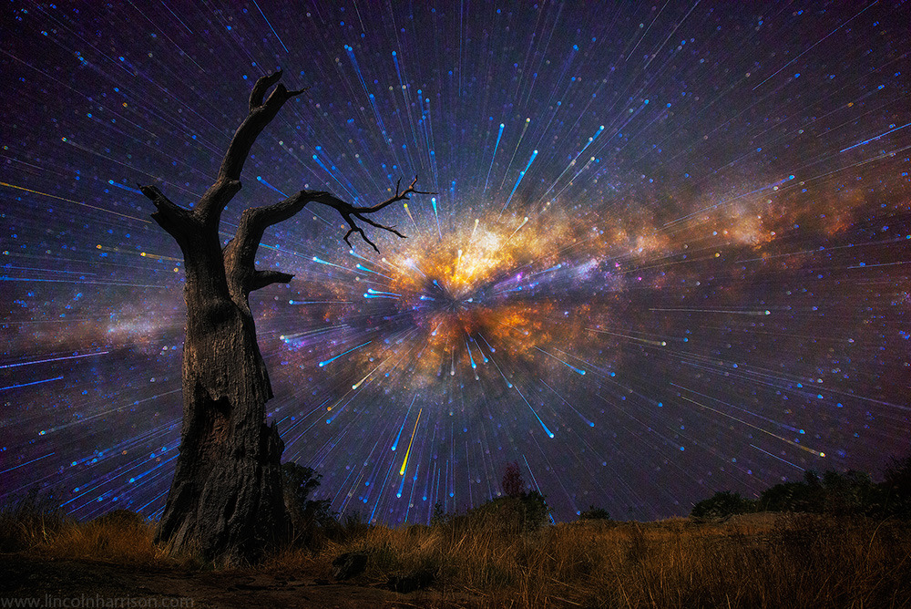 morg-ana:     Stars Bursting In The Night Sky Australian photographer Lincoln Harris collection ‘Star
