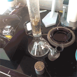 gingerbanks:  Nude bong time, it must be 4:20 somewhere, who is joining me? Please send me an ask if you wanna check out my cam :)