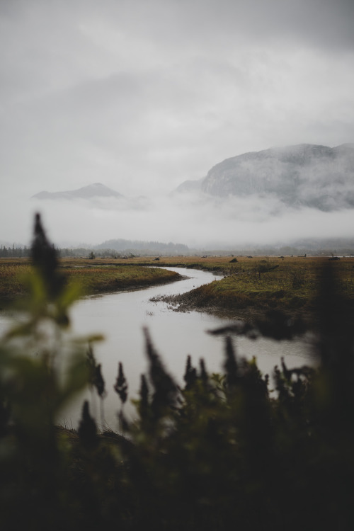 masonstrehlphoto:Fog in SquamishMason Strehl | Instagram