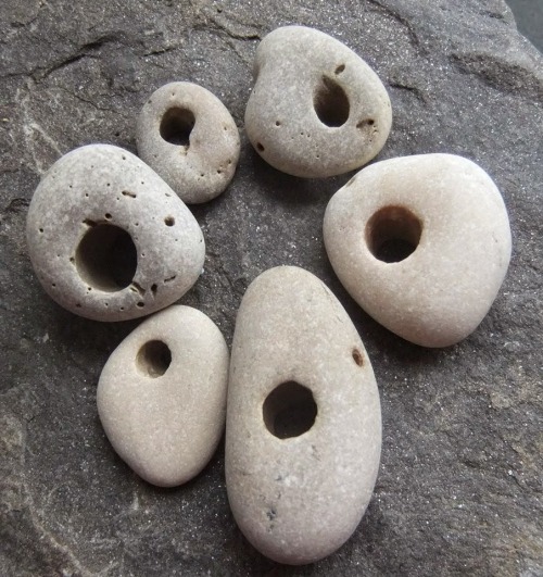 theoldstone: Adder Stones (sometimes also called hag stones, witch stones, serpent’s eggs, sna