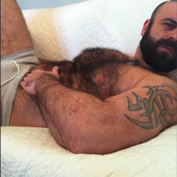 OMG he is one hairy chested man - exactly what I want for my own - WOOF