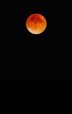 marvinking:  blood moon 2014