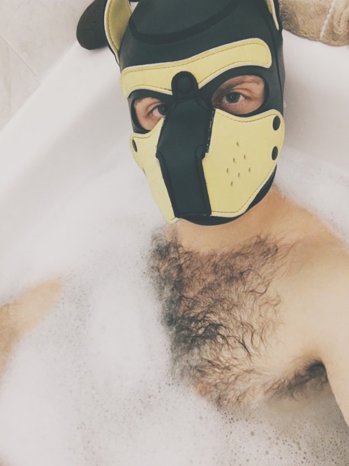 pupbustermackenzie:how do puppies have the most fun by themselves after a long day? bubblebath! duh.