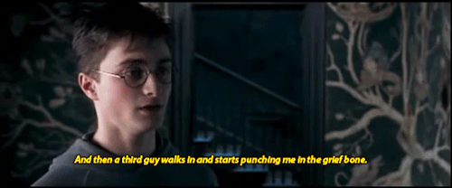 bisexualhermionepond:@incorrect-harry-potter-quotes  (Harry Potter/The Office) (x)
