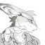 westboundrabbit