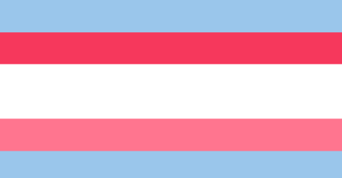 coffeeshopau3: Pronoun MLM flags! For when you’re mlm and use specific pronouns! Please LMK if they 