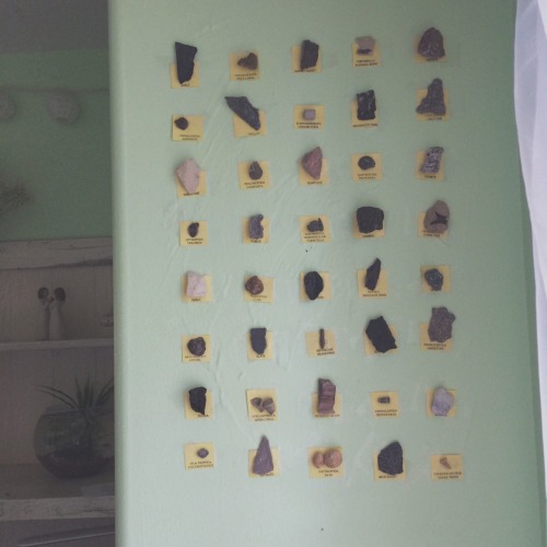 plaht:for the anon who wanted pics of my room !! here you can see it is more of a greenhouse than a 
