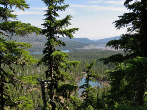 Olallie Lake &amp; Olallie Butte by dinannee