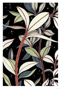 incaseyouart: Plants and stars~ Reference photo   twitter | redbubble | youtube | instagram | tictail shop | patreon Please reblog, don’t repost, thank you! &lt;3  