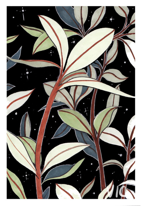 incaseyouart: Plants and stars~ Reference photo   twitter | redbubble | youtube | instagram | tictail shop | patreon Please reblog, don’t repost, thank you! <3  