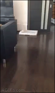 When your presence is a present
