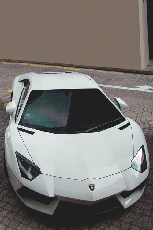 wormatronic:  Aventador | More