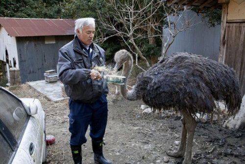 The Radioactive Man Who Returned To Fukushima To Feed The Animals That Everyone Else Left Behind