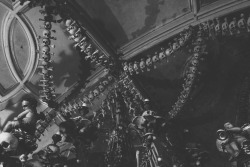 nikki-abbate:  The Sedlec Ossuary.