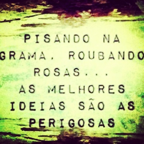 observar e absorver