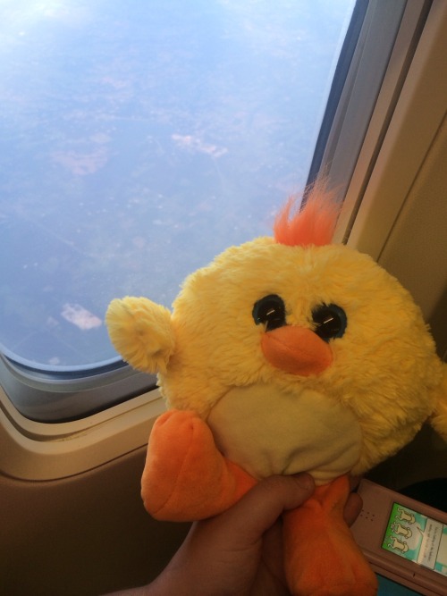 My boyfriend takes such good care of me. I was flying by myself for the first time and I was terrified. I hate flying and he knows this so he bought me a new ducky stuffie to keep me company and help me stay calm on my trip. He also let me use an old