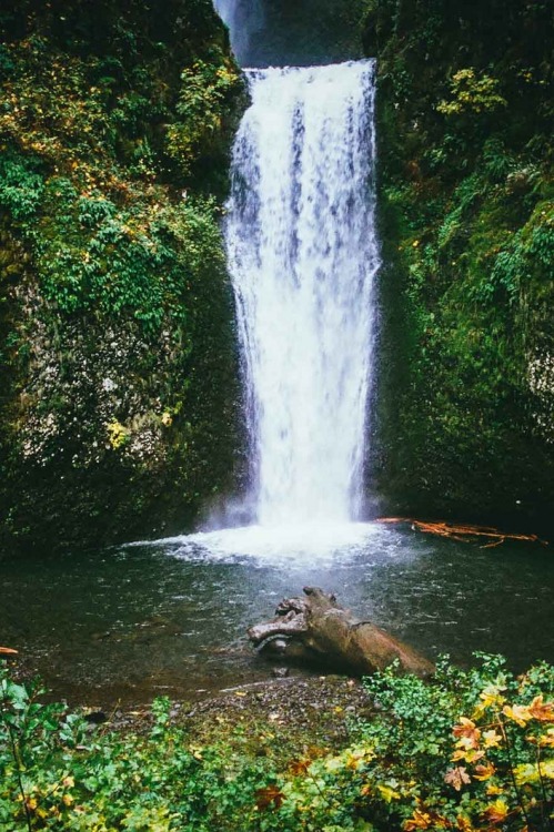 decepticun:  Breathe | by H o l l y. | follow on Tumblr