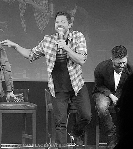 casblackfeathers: Misha and Jensen laughing | JibCon 2018 [x x x]