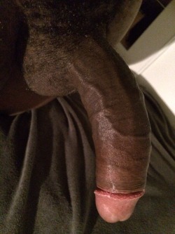 I Think Theh Are All Perfect For My Thick Black Cock ;)  What Hole ? Quel Trou ?