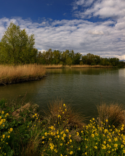 Dutch forest lake 6-10/? - 6: Waterliniepad, The Netherlands, May 20217-10:  Brabantse Vennenpad, Th