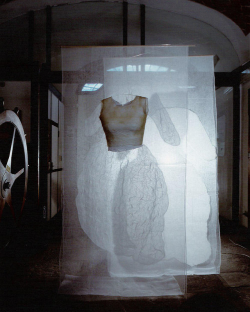 ortut: Alessandra Ragionieri - Armour soul and shadows, 2000(Installation composed by two gauze pane