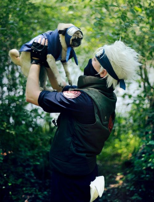 hikariuchihagirl:Cosplays : Hatake Kakashi porn pictures