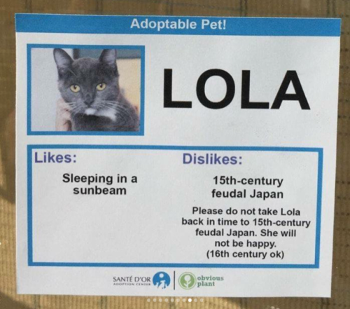 thesassyblacknerd:  misterartist:  babyanimalgifs: Shelter created hilarious profiles for their cats