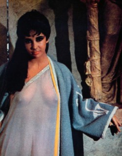 scottpatrick:  Elizabeth Taylor