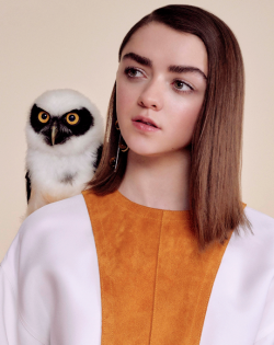 breathtakingqueens:Maisie Williams photographed by Jasper Abels.