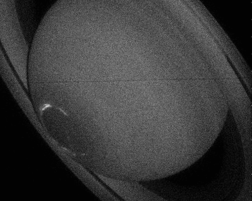 Leftist Political Junkie