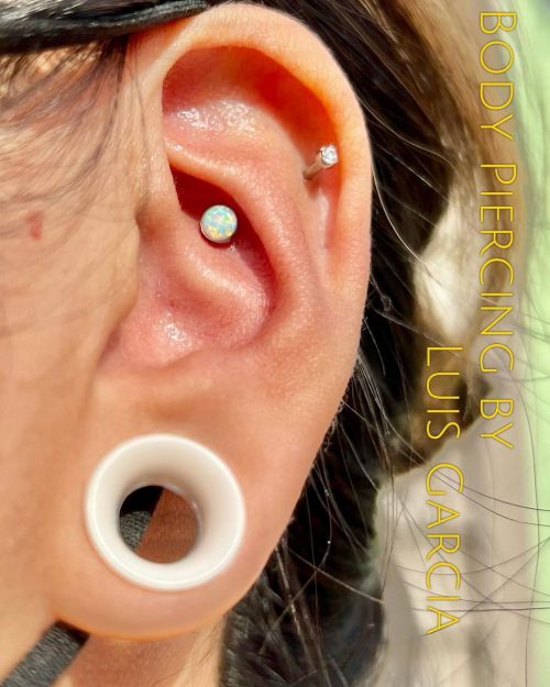 I love accenting interesting anatomy! Check out this upper conch piercing featuring an @anatometalin