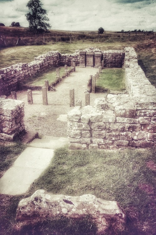 thesilicontribesman:Temple of Mithras, Brocolitia, Hadrian’s Wall, Northumberland, 11.8.18.A Mithrai