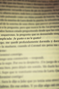un-feo-con-sentimientos:  Una pregunta tan sencilla que a la vez es complicada. 
