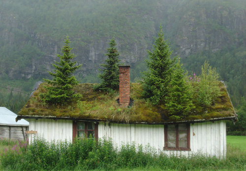 archatlas:Fairlytale Scandinavian Green RoofsScandinavians are serious about their green roofs. They